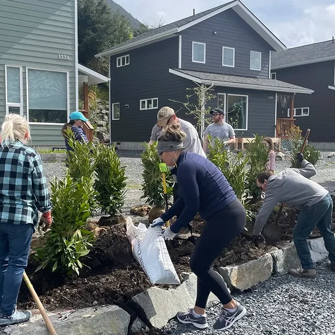 imgi_11_Shrubs3-1200-banner