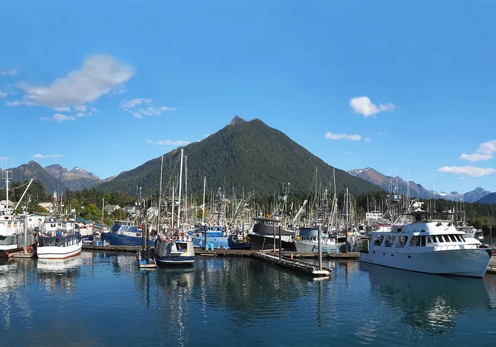 imgi_9_AdobeStock_229963623-1200-banner